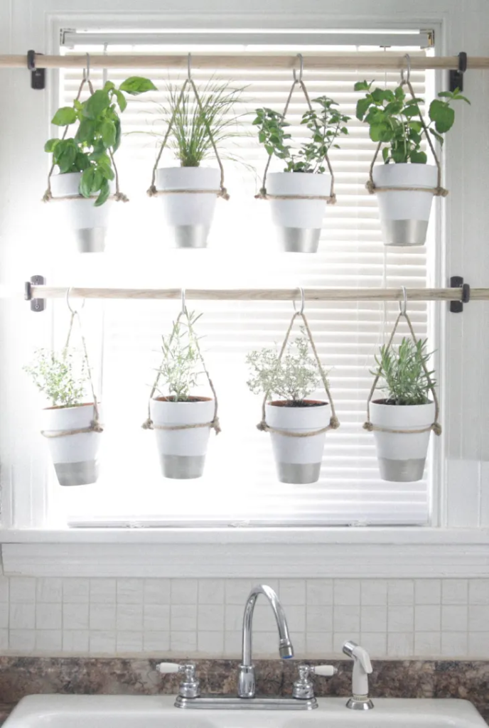 Top 10 Decorative Hanging Plants for a Chic Kitchen Look